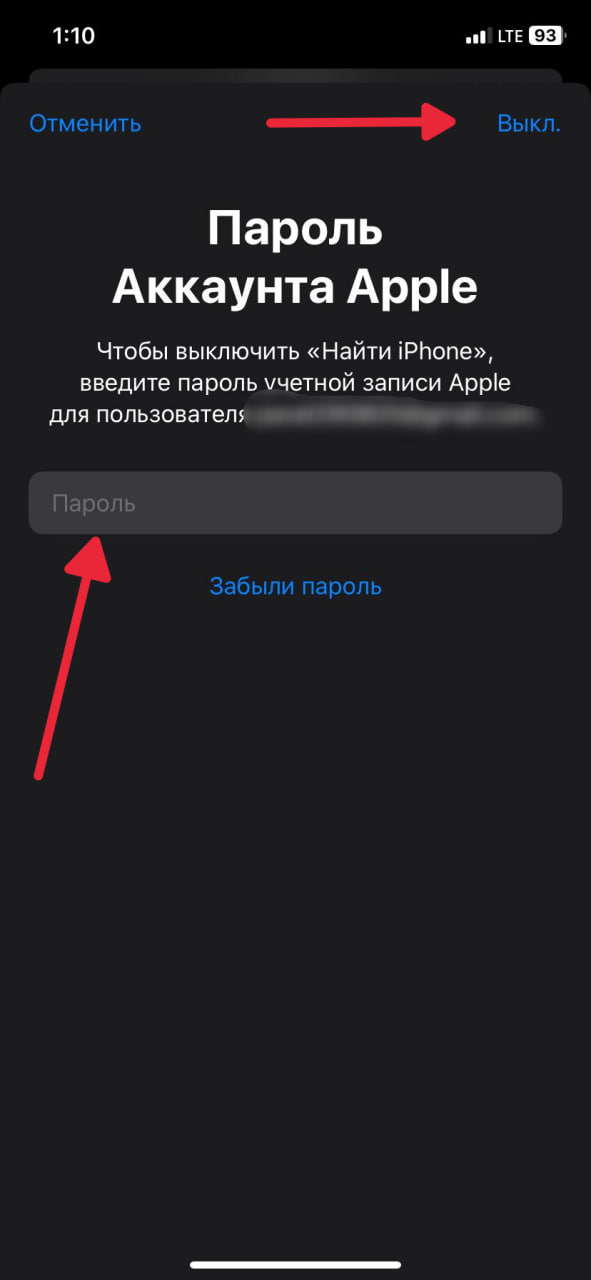 Ввод пароля Apple Account